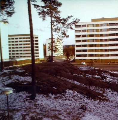 Riihitarhankatu 1971
